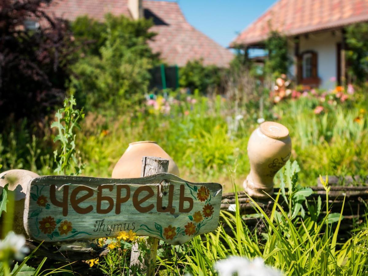 Vesela Sadyba Veselivka Zewnętrze zdjęcie